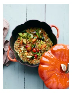 Staub Pumpkin Cast Iron Cocotte 24cm Cinnamon -Maxwell Williams Store 470051110 3 720x928