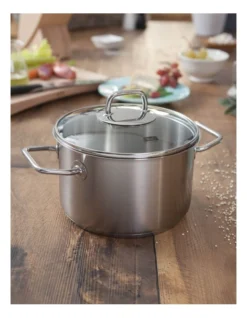 Fissler Viseo 24cm/5.7L Stainless Steel Stewpot With Glass Lid -Maxwell Williams Store 531372250 2 720x928