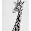 Maxwell & Williams Marini Ferlazzo African Giraffe 50x70cm Tea Towel