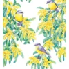 Maxwell & Williams Royal Botanic Gardens Victoria Garden Friends 50x70cm Tea Towel Robin White Print -Maxwell Williams Store 790397740 1 720x928