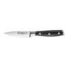 Kassel Paring Knife 9cm -Maxwell Williams Store 800225830 1 720x928