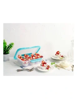 Fresh Seal Clips 4L Oblong Food Storage Clear/Teal 8 Fresh Seal Clips 4L Oblong Food Storage Clear/Teal -Maxwell Williams Store 802677790 3 720x928