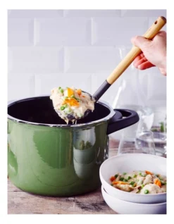 Pressure Cooker Green 22cm/6.0L -Maxwell Williams Store 831154600 5 720x928