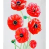 Maxwell & Williams Katherine Castle Floriade Tea Towel 50x70cm Ranunculus -Maxwell Williams Store 850075660 1 720x928