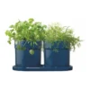 Herb Set In Midnight Blue -Maxwell Williams Store 897213070 1 720x928