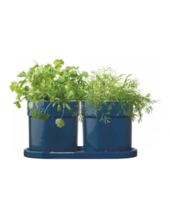 Herb Set In Midnight Blue
