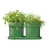 Olive Herb Set In Heritage Green -Maxwell Williams Store 897215500 1 720x928