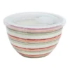 Stripe Lunch2Go Bowl With Lid 15X9cm In Multi -Maxwell Williams Store 967649230 1 720x928