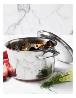 Per Vita Stainless Steel Induction Covered Stockpot 24cm/7.1L -Maxwell Williams Store 995658680 2 3 720x928